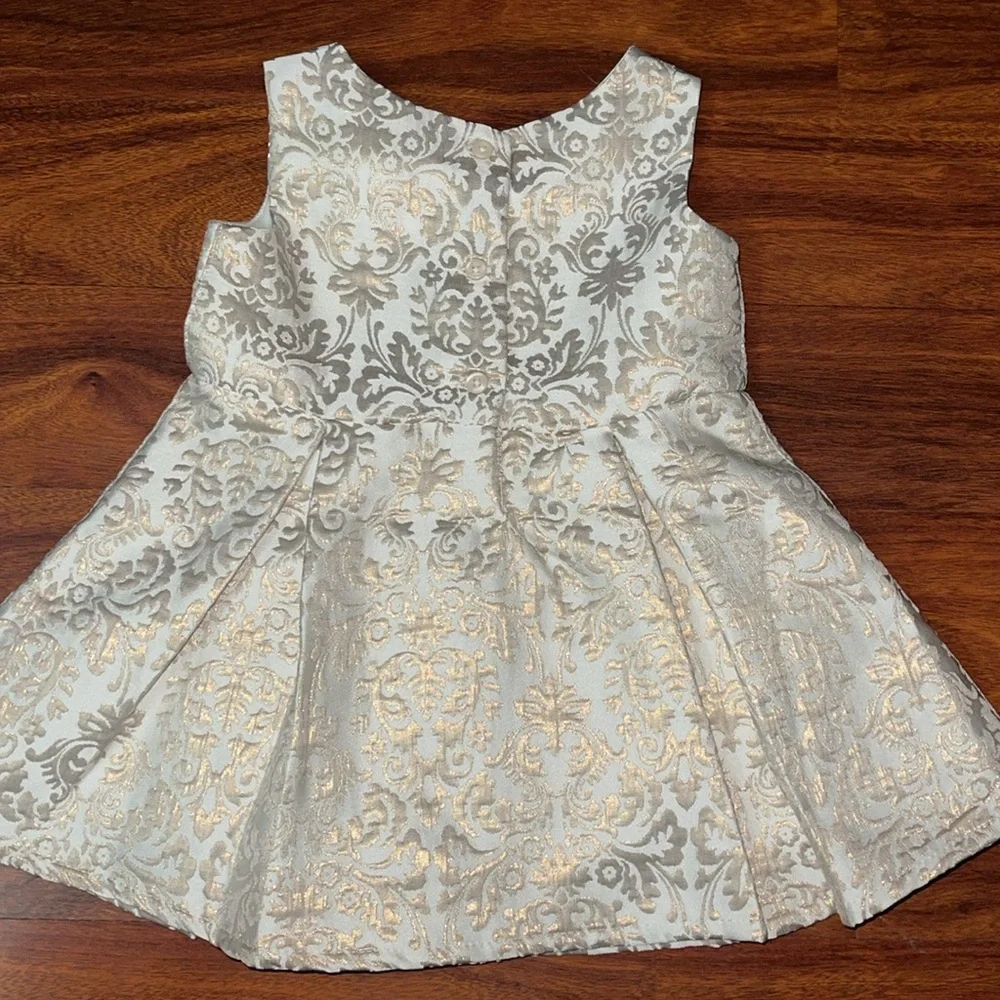 Baby Girl The Childrens Place Dress